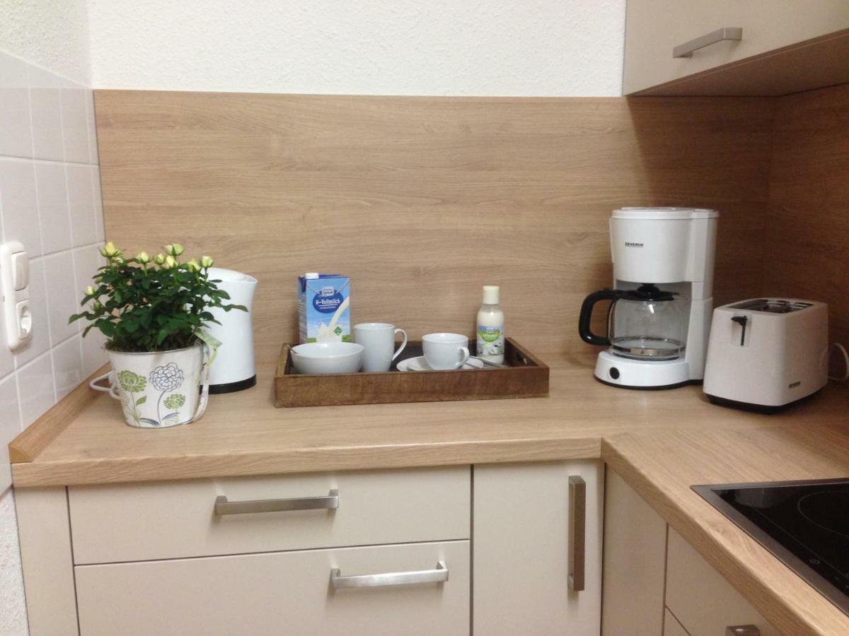 Ferienwohnung Ortrand - Pension Extérieur photo
